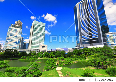 【東京都】晴天の旧芝離宮恩賜庭園 107064203