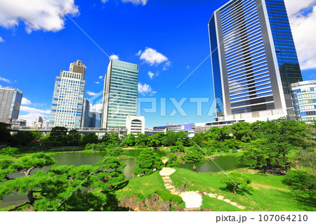 【東京都】晴天の旧芝離宮恩賜庭園 【東京都】晴天の旧芝離宮恩賜庭園 107064210