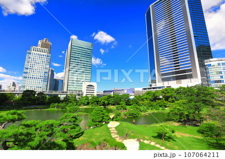【東京都】晴天の旧芝離宮恩賜庭園 107064211
