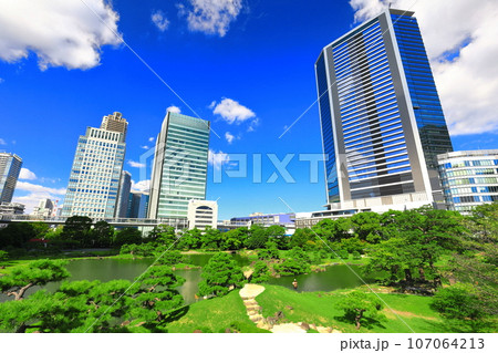 【東京都】晴天の旧芝離宮恩賜庭園 107064213