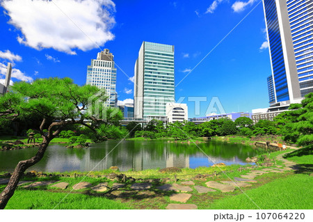 【東京都】晴天の旧芝離宮恩賜庭園 107064220