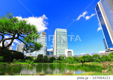 【東京都】晴天の旧芝離宮恩賜庭園 107064221