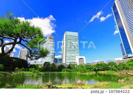 【東京都】晴天の旧芝離宮恩賜庭園 107064222