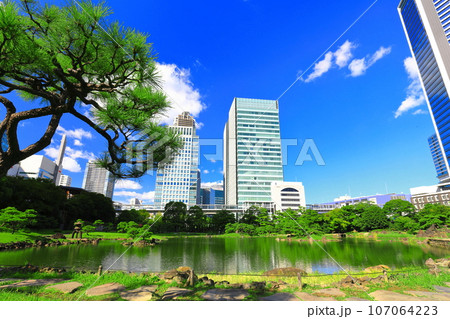 【東京都】晴天の旧芝離宮恩賜庭園 107064223