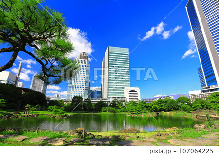 【東京都】晴天の旧芝離宮恩賜庭園 107064225