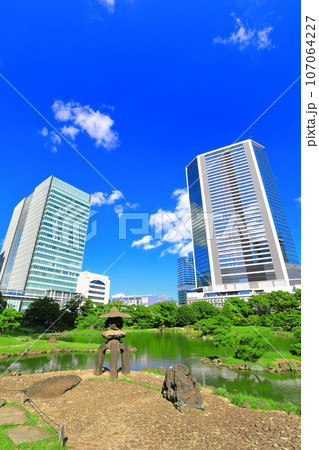 【東京都】晴天の旧芝離宮恩賜庭園 107064227