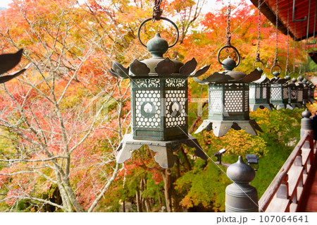 談山神社/拝殿の吊灯籠と紅葉(奈良県桜井市) 談山神社/拝殿の吊灯籠と紅葉(奈良県桜井市) 107064641