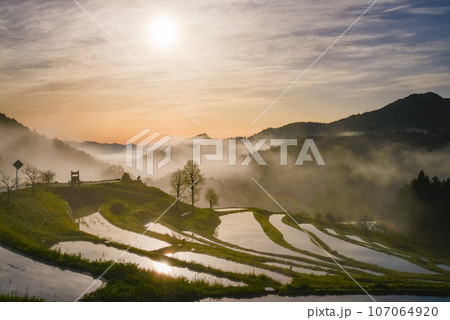 (千葉県)朝霧の大山千枚田 水鏡 (千葉県)朝霧の大山千枚田 水鏡 107064920
