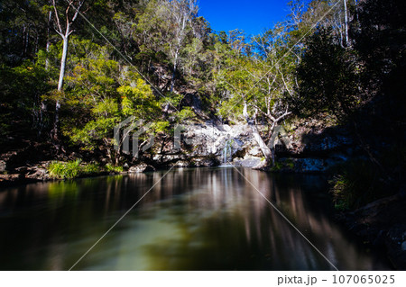 Kondalilla National Park in Queensland Australia 107065025