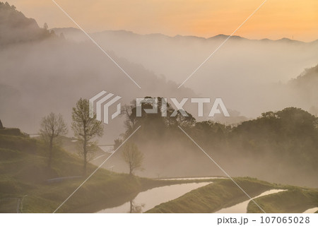 (千葉県)朝霧に包まれた大山千枚田 春 (千葉県)朝霧に包まれた大山千枚田 春 107065028