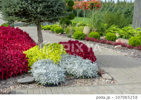 Frontyard with Paver Walkway. Beautiful Garden path made of natural stones, gravel. Huge landscaping trend. Lawn, shrubbery in the backyard. Scenic of nice landscaped. Home design. Garage driveway Frontyard with Paver Walkway. Beautiful Garden path made of natural stones, gravel. Huge landscaping trend. Lawn, shrubbery in the backyard. Scenic of nice landscaped. Home design. Garage driveway 107065258