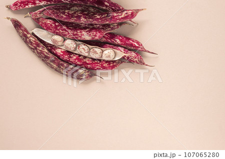 Cranberry beans. Borlotti bean pods in bowl. Top view. Stylish modern food background. Magenta color. Creative foodstuff flat lay. Grocery, dietary backdrop. Advertising, trendy magazine publication. 107065280
