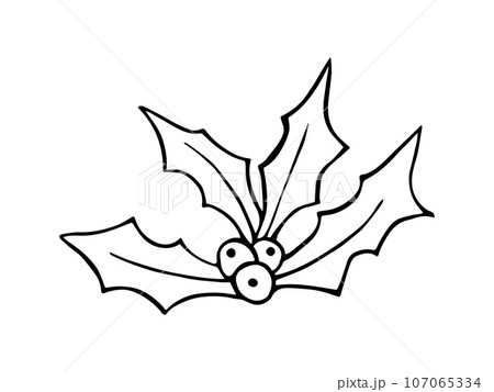 Christmas holly berry, cartoon icon, doodle style hand drawn. Vector illustration of a New Year's winter plant isolated on white. Christmas holly berry, cartoon icon, doodle style hand drawn. Vector illustration of a New Year's winter plant isolated on white. 107065334