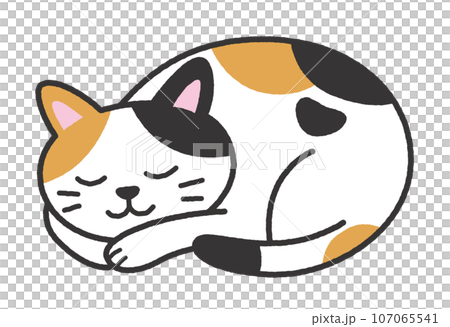 sleeping calico cat 107065541