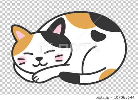 A curled calico cat 107065544