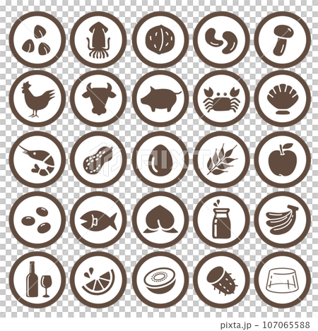 allergy food icons 107065588