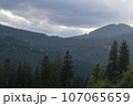 Mountain landscape with forest in the Carpathian mountains of Ukraine. 107065659