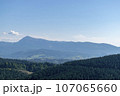 Mountain landscape with forest in the Carpathian mountains of Ukraine. 107065660
