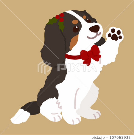 お手をするクリスマス仕様の可愛いこげ茶キャバリア・キング・チャールズ・スパニエルのイラスト 主線なし お手をするクリスマス仕様の可愛いこげ茶キャバリア・キング・チャールズ・スパニエルのイラスト 主線なし 107065932
