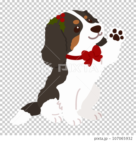 一隻可愛的聖誕主題深棕色騎士查理王小獵犬被處理的插圖,沒有主線 一隻可愛的聖誕主題深棕色騎士查理王小獵犬被處理的插圖,沒有主線 107065932