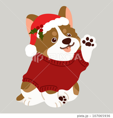 お手をするクリスマス仕様の可愛いコーギーのイラスト　主線なし 107065936
