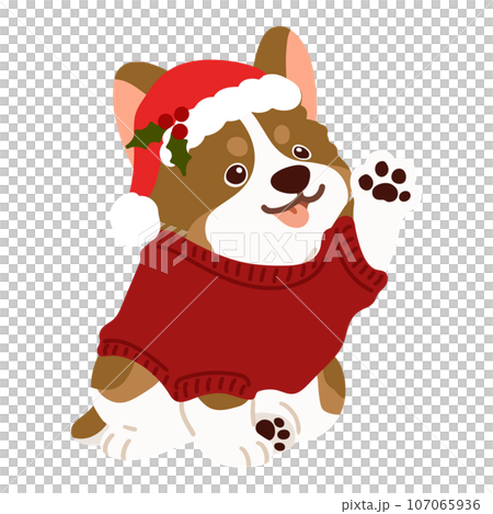可愛的聖誕風格柯基犬被處理的插圖，沒有主線 107065936