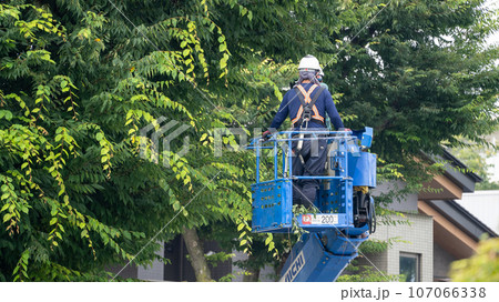 街路樹の剪定をする街路樹剪定業者 107066338