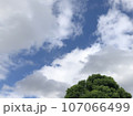 空と雲と木 107066499