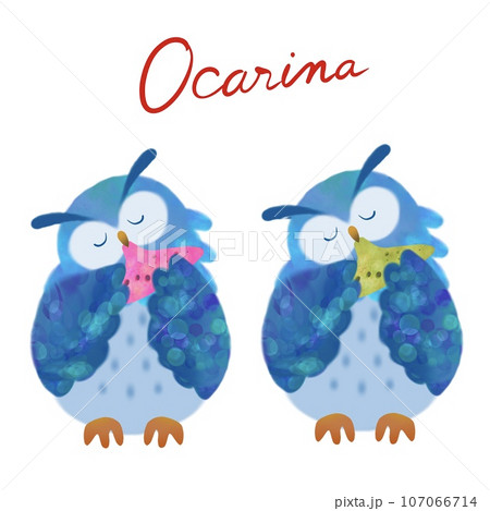 二羽のミミズクがオカリナを演奏しているかわいいイラスト 107066714