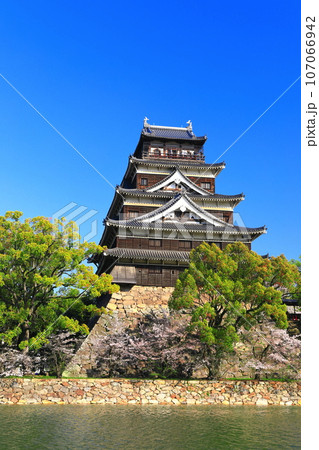 【広島県】桜が満開の広島城天守閣 107066942
