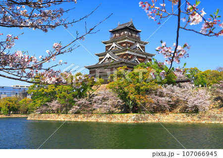 【広島県】桜が満開の広島城天守閣 107066945