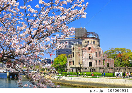 【広島県】満開の桜と原爆ドーム 107066951