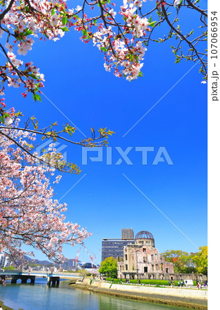 【広島県】満開の桜と原爆ドーム 【広島県】満開の桜と原爆ドーム 107066954