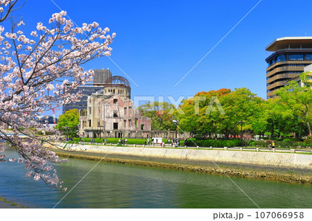 【広島県】満開の桜と原爆ドームとおりづるタワー 【広島県】満開の桜と原爆ドームとおりづるタワー 107066958