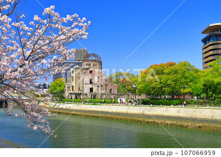 【広島県】満開の桜と原爆ドームとおりづるタワー 107066959