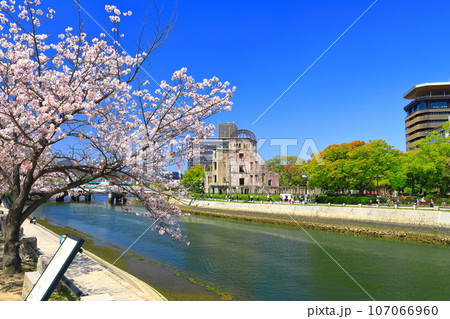 【広島県】満開の桜と原爆ドームとおりづるタワー 107066960
