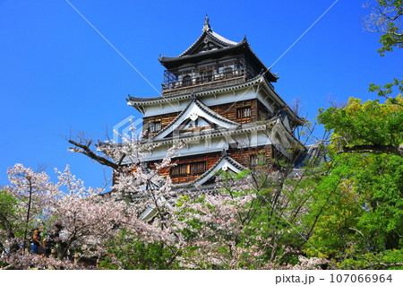【広島県】桜が満開の広島城天守閣 107066964