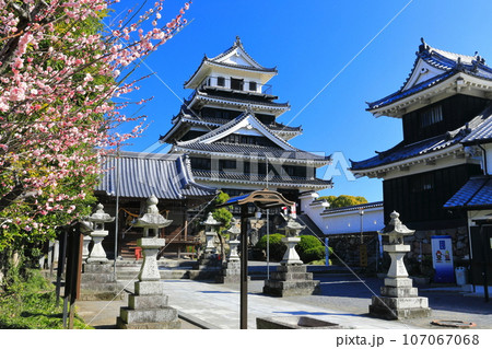 【大分県】晴天の中津城と紅梅 107067068