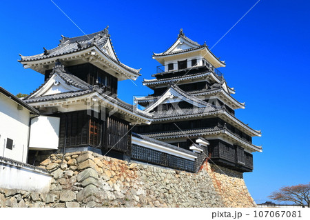 【大分県】晴天の中津城 天守閣と大鞁櫓 【大分県】晴天の中津城 天守閣と大鞁櫓 107067081