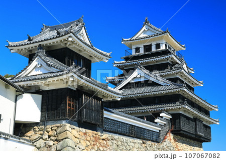 【大分県】晴天の中津城 天守閣と大鞁櫓 【大分県】晴天の中津城 天守閣と大鞁櫓 107067082