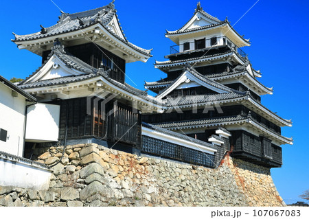 【大分県】晴天の中津城 天守閣と大鞁櫓 【大分県】晴天の中津城 天守閣と大鞁櫓 107067083