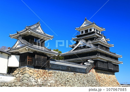 【大分県】晴天の中津城　天守閣と大鞁櫓 107067085