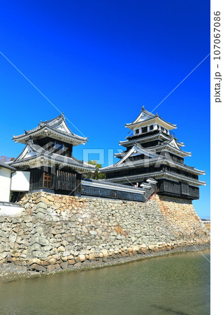 【大分県】晴天の中津城　天守閣と大鞁櫓 107067086