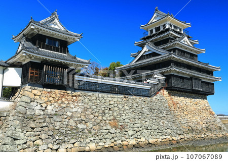 【大分県】晴天の中津城 天守閣と大鞁櫓 【大分県】晴天の中津城 天守閣と大鞁櫓 107067089
