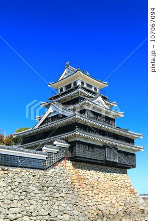 【大分県】晴天の中津城 107067094