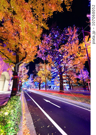 【大阪府】御堂筋イルミネーション 【大阪府】御堂筋イルミネーション 107068052