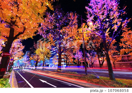 【大阪府】御堂筋イルミネーション 【大阪府】御堂筋イルミネーション 107068058