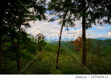 歌垣山の展望台からの眺め 107068413