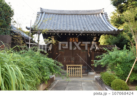 夕暮れの経王寺 東京 夕暮れの経王寺 東京 107068424