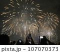 花火 キラキラ輝くもの 線香花火 107070373